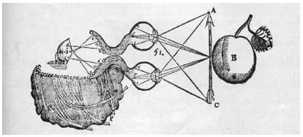Ilustraci&oacute;n de El Tratado del Hombre (1667), realizada&nbsp;por Gerard van Gutschoven (1615-1668), a prop&oacute;sito del art&iacute;culo&nbsp;65 &ldquo;Sobre las figuras de los objetos que se trazan en la superficie&nbsp;interior del cerebro&rdquo;.